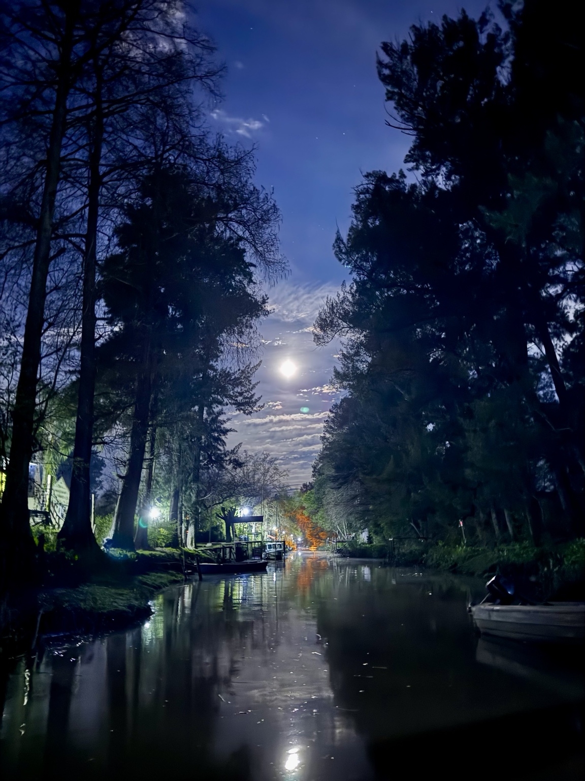 Canal del Delta bajo la luna